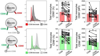 Modulation of Regulatory T Cells Activity by Distinct CD80 and CD86 Interactions With CD28/CTLA-4 in Chagas Cardiomyopathy